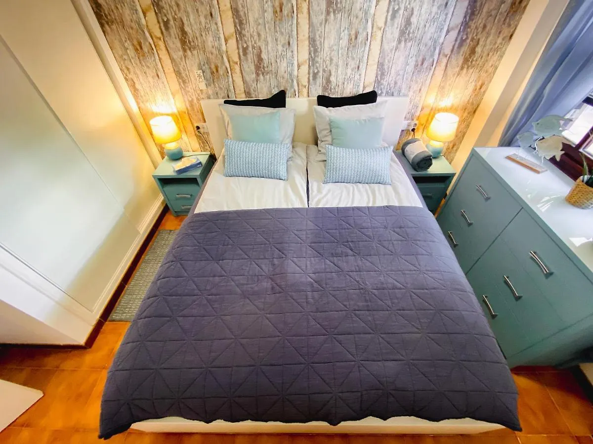 Forest Flat - Big Heated Pool, Terrace, Tv Channels, Golf Courses 0*, San Miguel de Abona